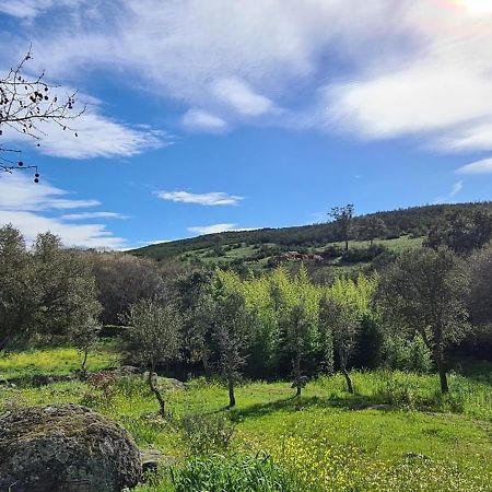 קאסטלו דה וידה Quinta Da Utopia מראה חיצוני תמונה