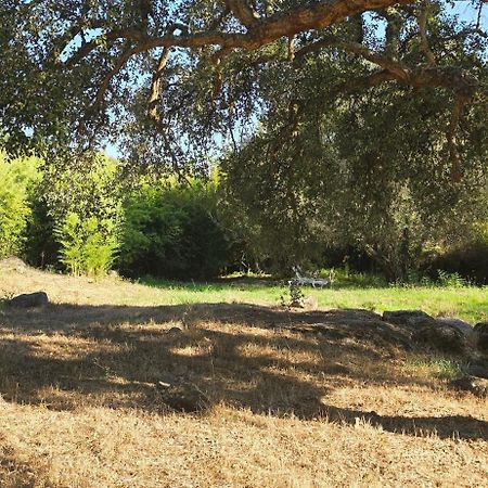 קאסטלו דה וידה Quinta Da Utopia מראה חיצוני תמונה