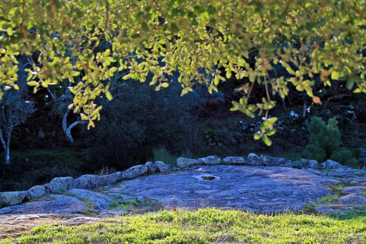 קאסטלו דה וידה Quinta Da Utopia מראה חיצוני תמונה