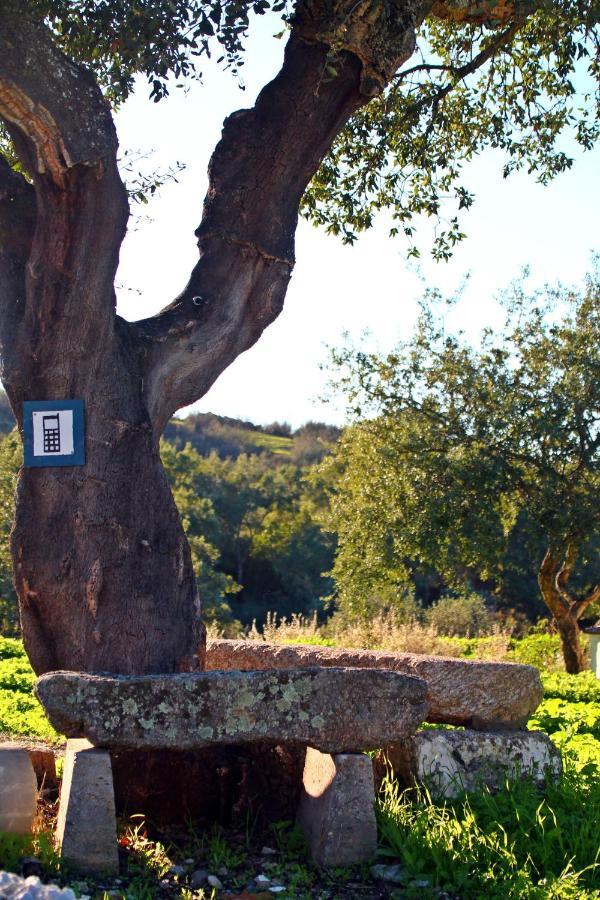קאסטלו דה וידה Quinta Da Utopia מראה חיצוני תמונה