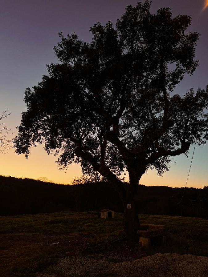 קאסטלו דה וידה Quinta Da Utopia מראה חיצוני תמונה