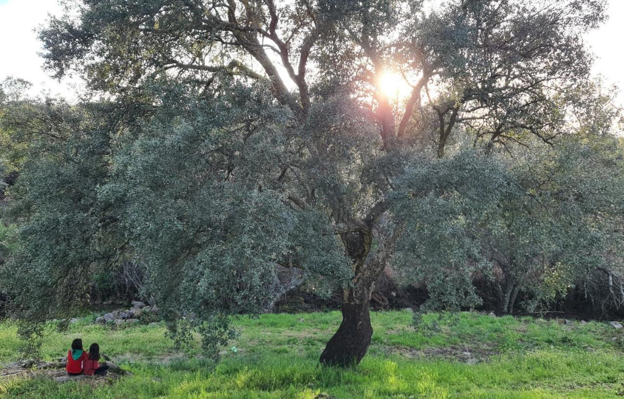 קאסטלו דה וידה Quinta Da Utopia מראה חיצוני תמונה