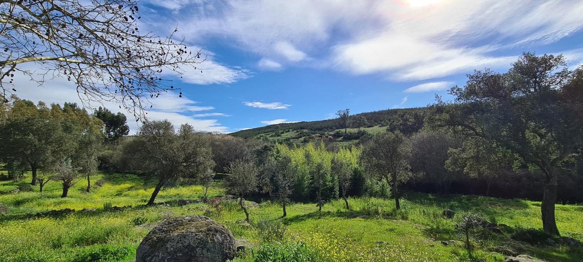 קאסטלו דה וידה Quinta Da Utopia מראה חיצוני תמונה